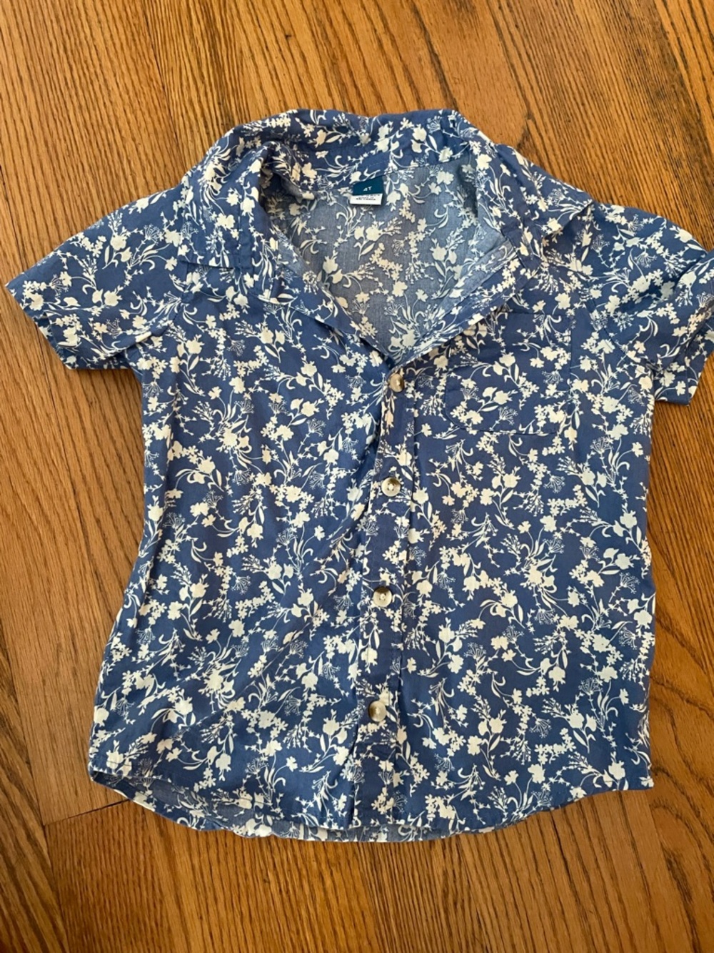 4T Blue Floral Button-Up Shirt